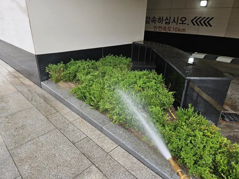 롯데백화점 미아점 · 회양목 식재 · 외부 식재·조경