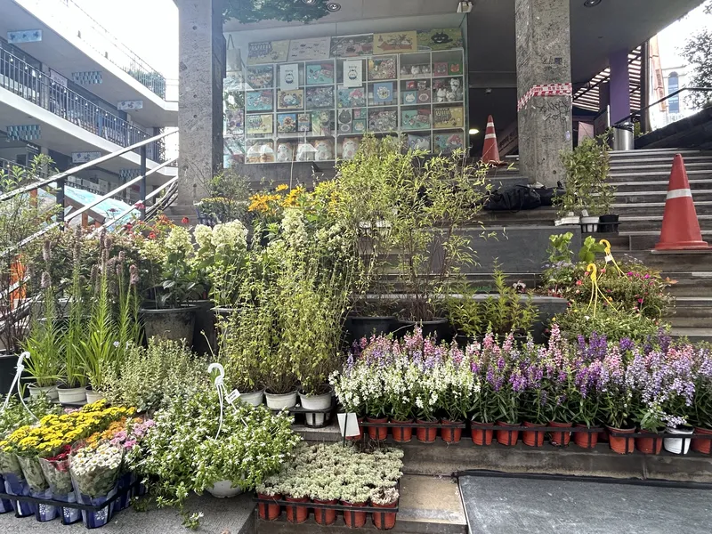 인사동 쌈짓길 · 조경 · 외부 식재·조경