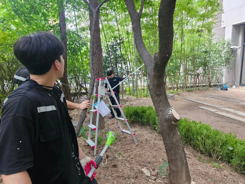 청담 마크힐스 · 수목 관리 · 전지전정