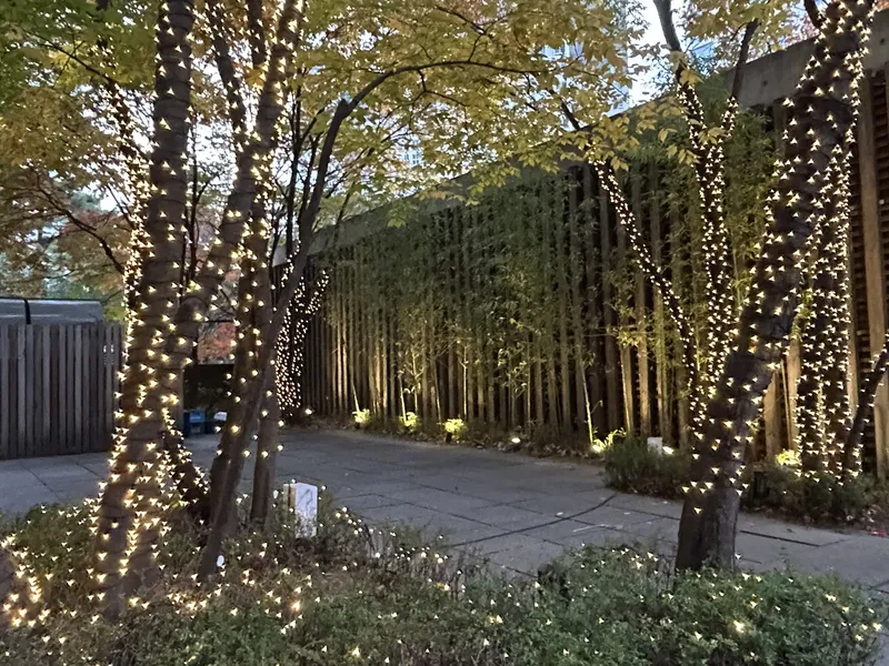 경복궁 · 수목 조명 · 수목 조명 시공