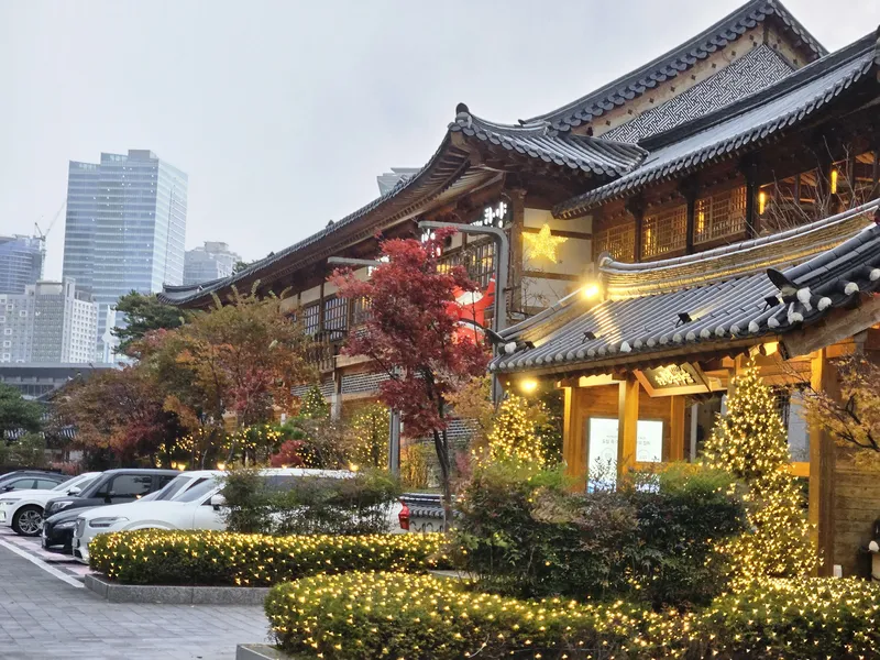 송도한옥마을 · 측백 식재 · 외부 식재·조경