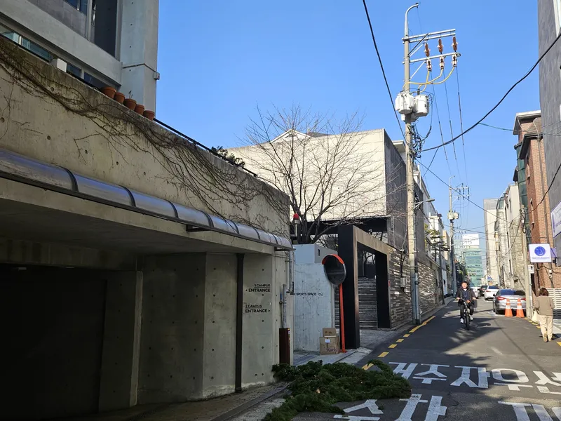 논현동 빌딩 · 12월 수목 관리 · 전지전정