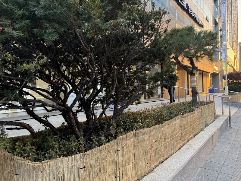 서교빌딩 · 월동 관리 · 월동 관리