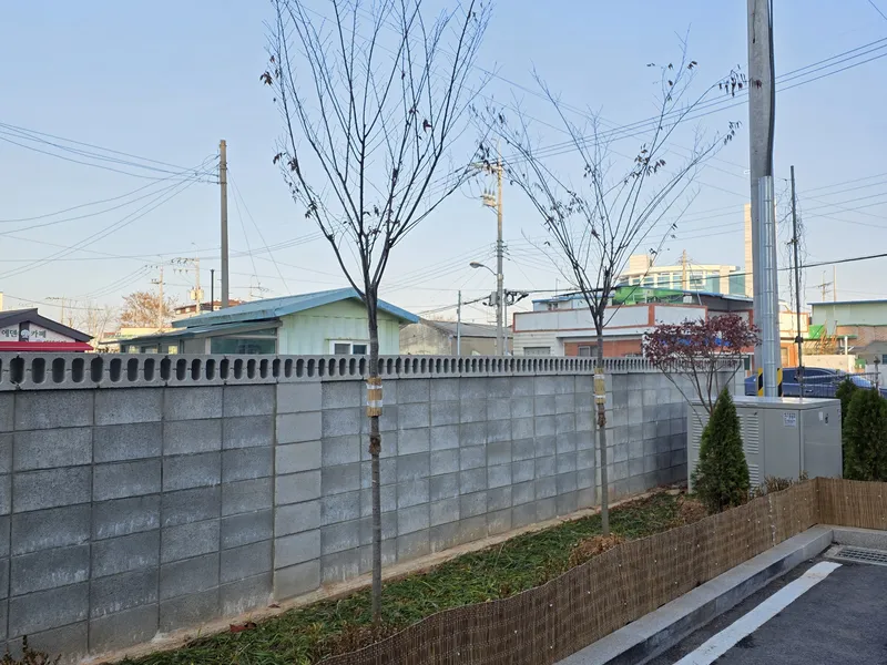 군산 노블한방병원 · 월동 관리 · 월동 관리