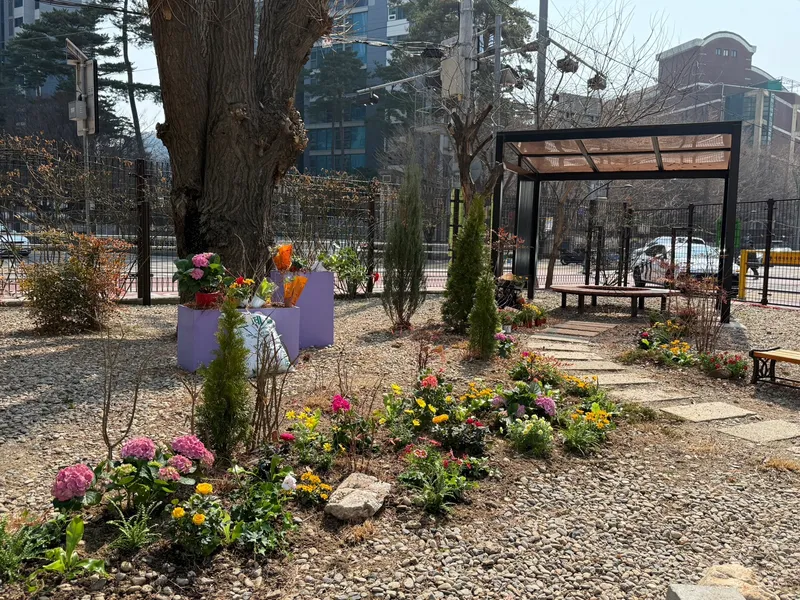 경동초등학교 · 실내외 식재·조경