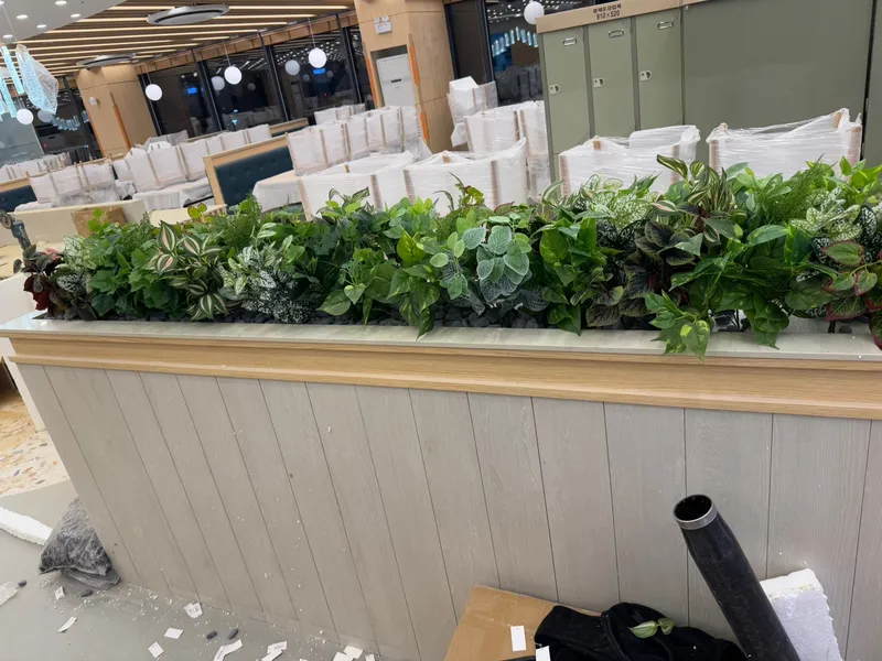 샤브올데이 광주첨단지구 · 실내 플랜테리어