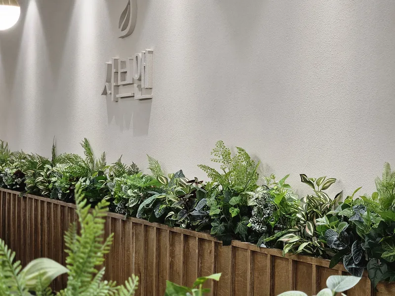 샤브앤참치 · 실내 플랜테리어