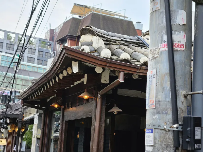 익선동 낙원역 · 9월 식재 · 외부 식재·조경
