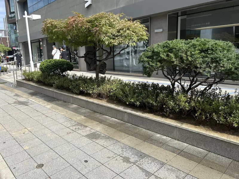 서교빌딩 · 철쭉 식재 · 외부 식재·조경